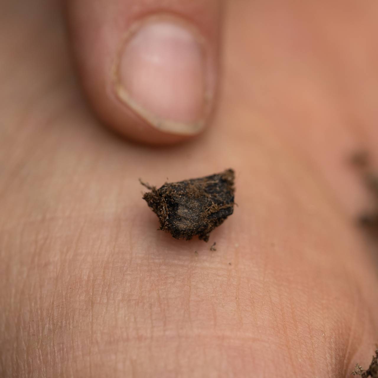 Finger peker på kullbit fra ildsted