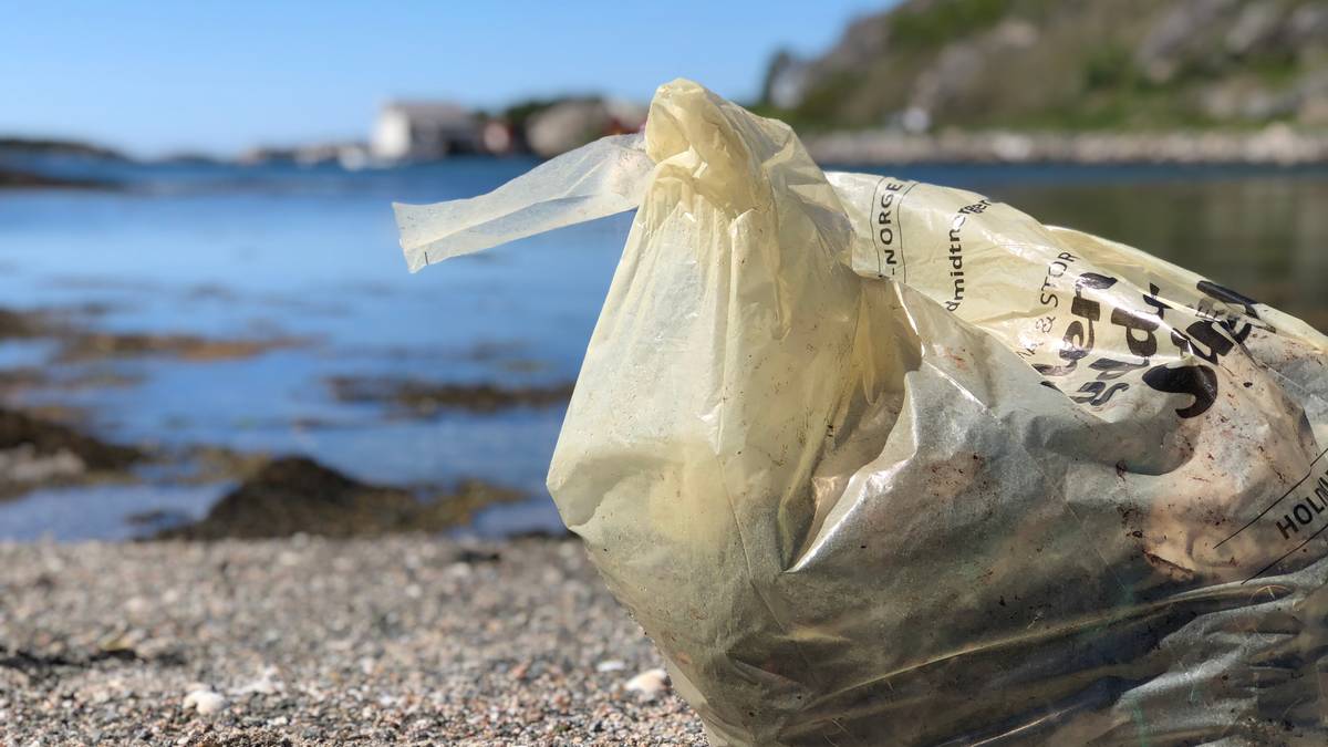 Får sjømatnæringa med på ryddeaksjon