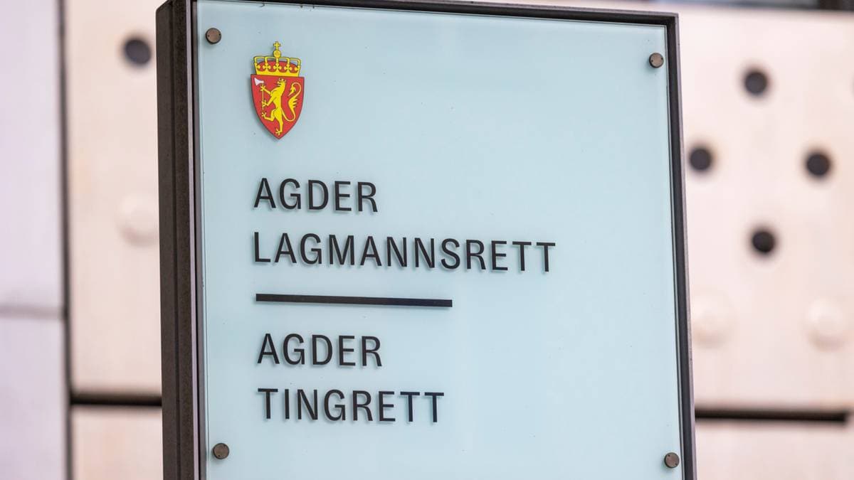 To 20-åringer domt for vold på russetreff