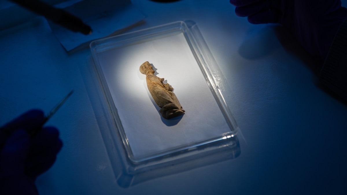 Fant Melkior under søppel i Stavanger Domkirke: – Det er en perfekt julefortelling