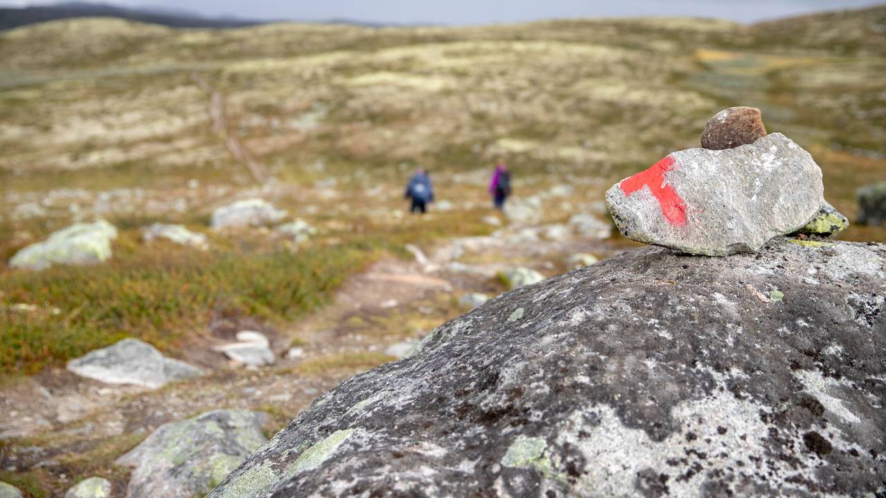 Bjørg og Knut Harald Brekke på vei til Heinseter Fjellstue i H