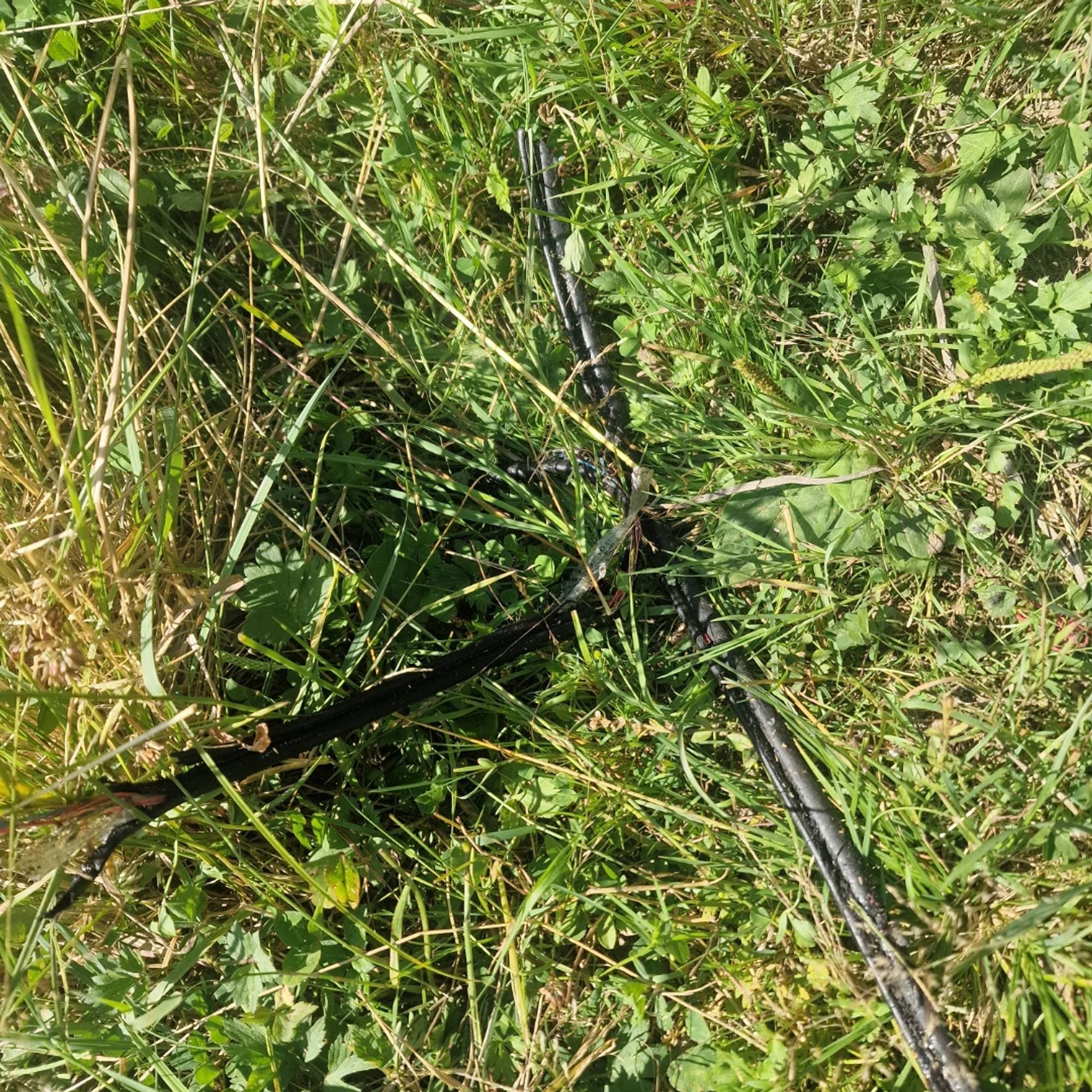 ledning på bakken på gress