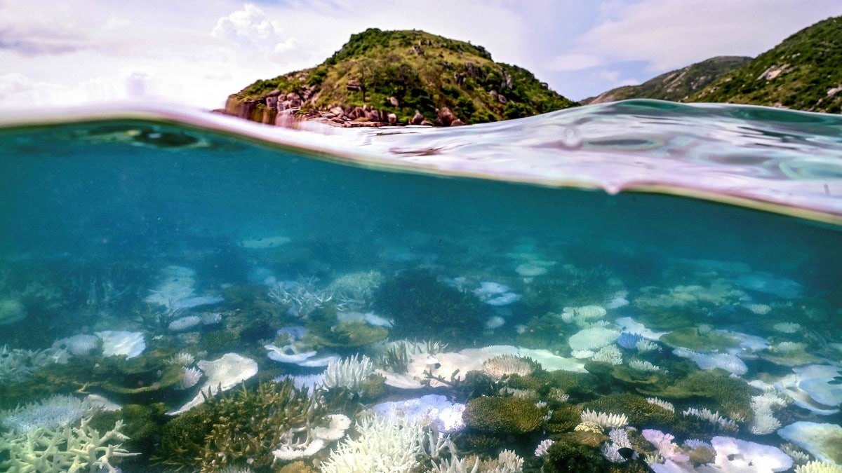 Varmeste tiår på 400 år i havet ved Australias Great Barrier Reef