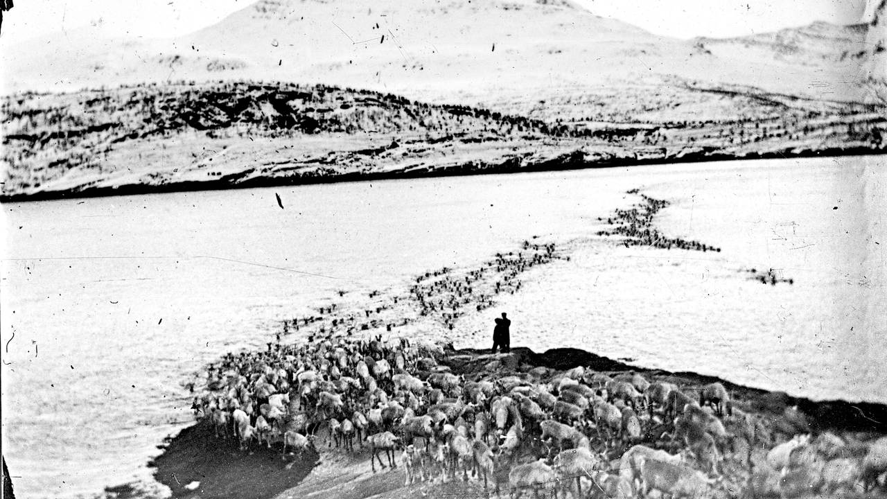 Rávdnji/Straumen, i nærheten av det stedet der reinsdyrene pleide å svømme over fra fastlandet ut til Sállir/Kvaløya. Fra boken «Herrene sendte oss dit. Om tvangsflyttingen av samene» av Elin Anna Labba