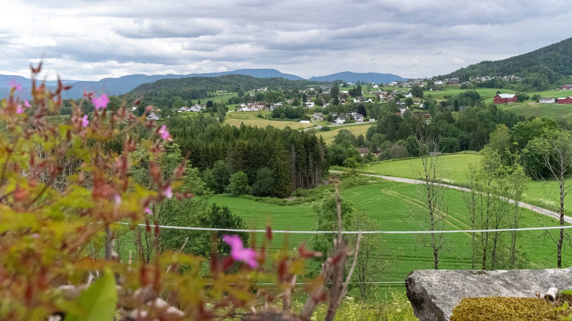 Bildet viser en landlig utsikt med grønne åser og dale under en overskyet himmel. I forgrunnen er det blomster og steiner, mens bakgrunnen viser spredte hus, gårder og skogsområder. Veier snirkler seg mellom jorde og skog, og fjell kan skimtes i det fjerne. (Bildebeskrivelsen er laget av en KI-tjeneste)