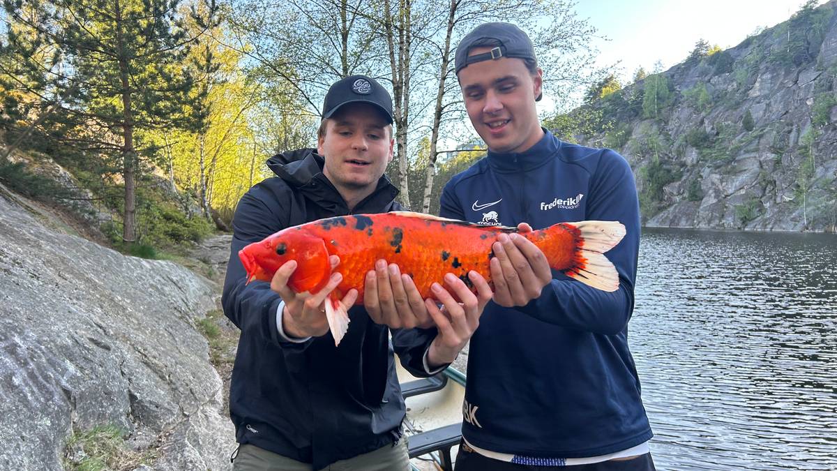 Fanget uvanlig fisk – nå hylles kompisene