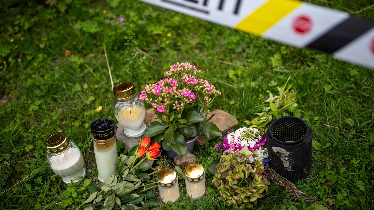 Forsvarer: Hurdal-siktet erkjenner å ha drept moren