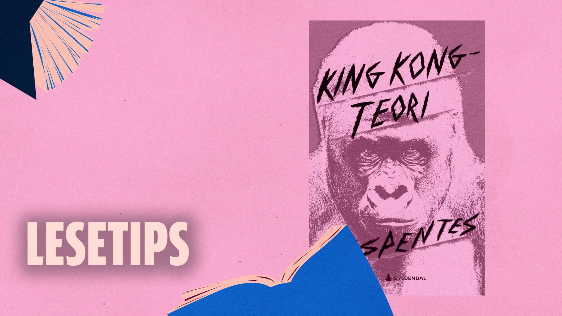 virginie despentes king kong teori Åpen bok nrk radio