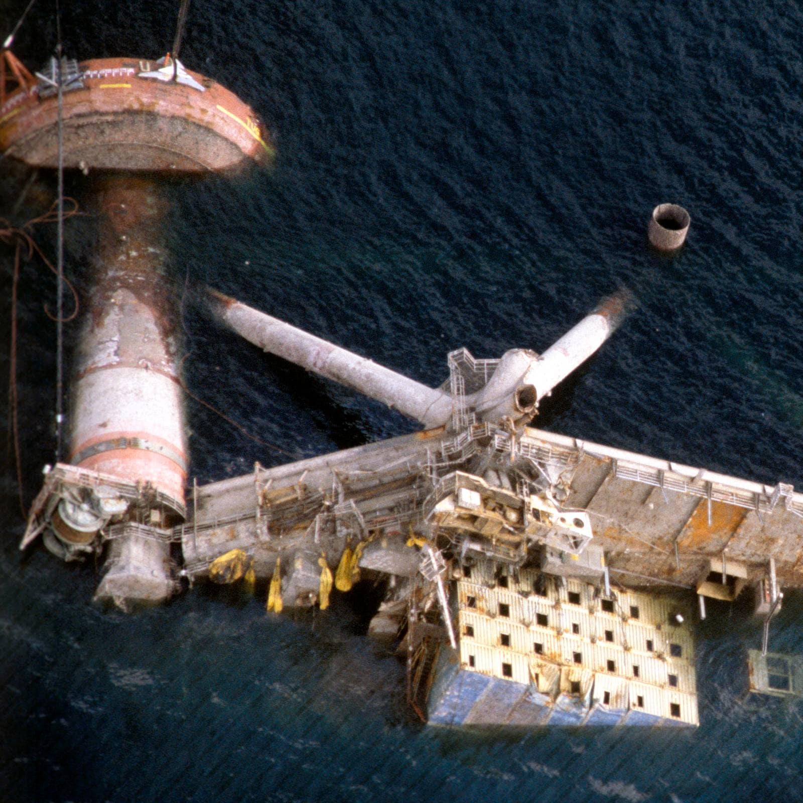 The Untold Story Behind The Bi4 Dolphin Accident