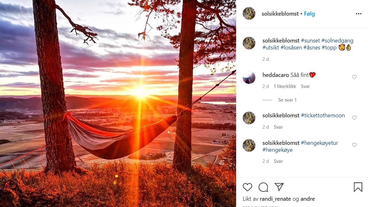 hengekøøye-bonanza i sosiale medier