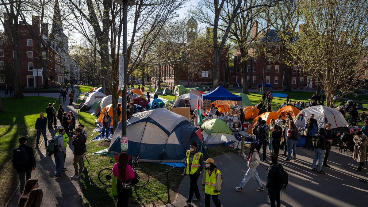 Harvard-universitetet nekter å føye seg – Trump-administrasjonen fryser støtte