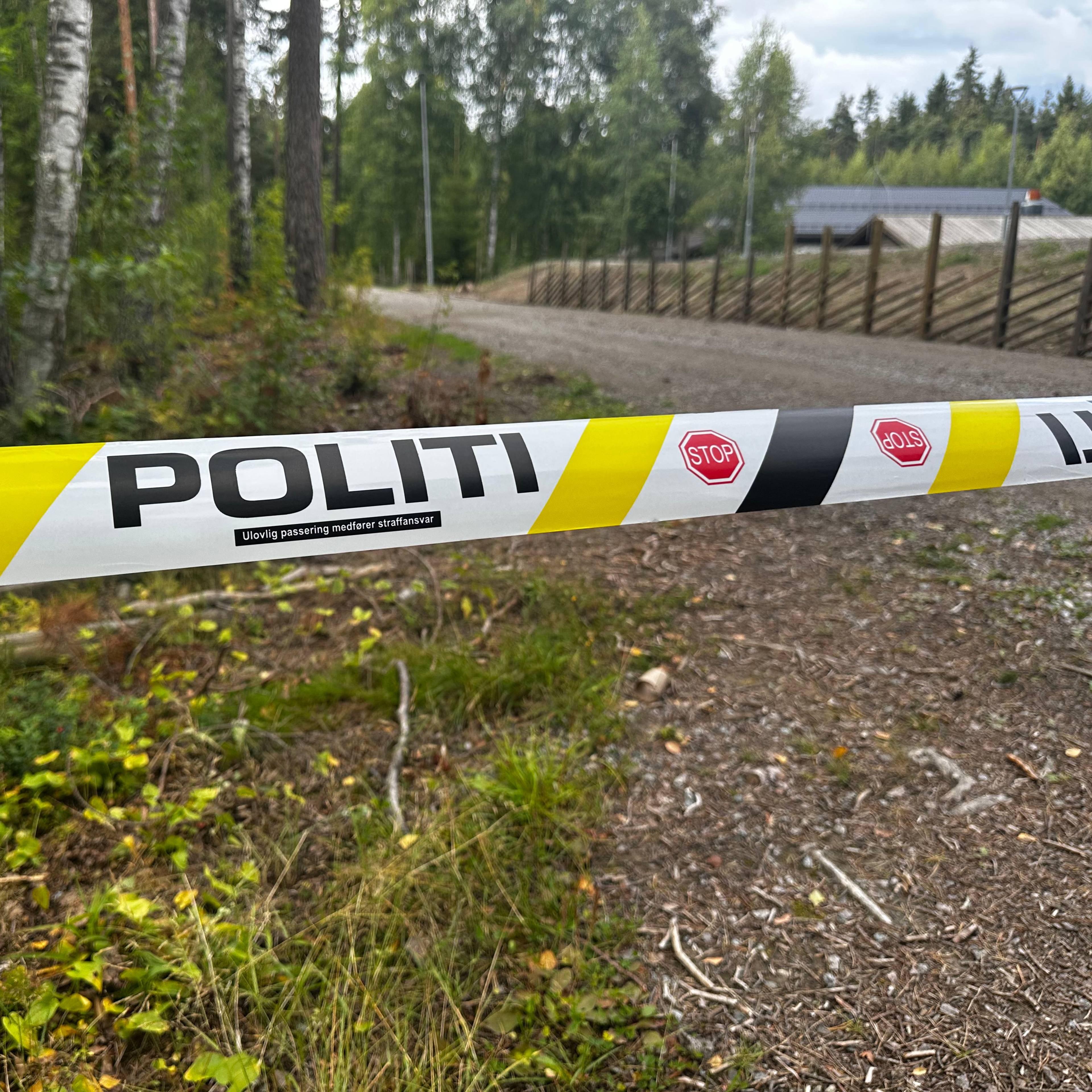 Politibånd sperrer av et skogsområde ved en vei.