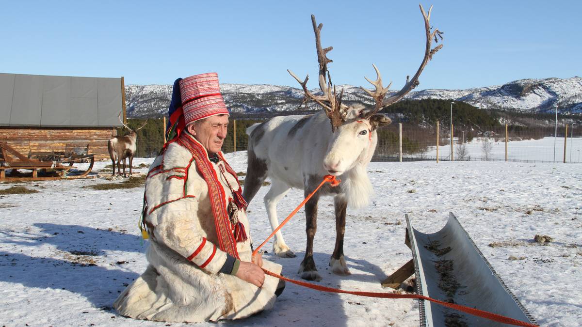 Reindeer driving Sami in Finnmark say they need wind power in their pastures – NRK Troms and Finnmark