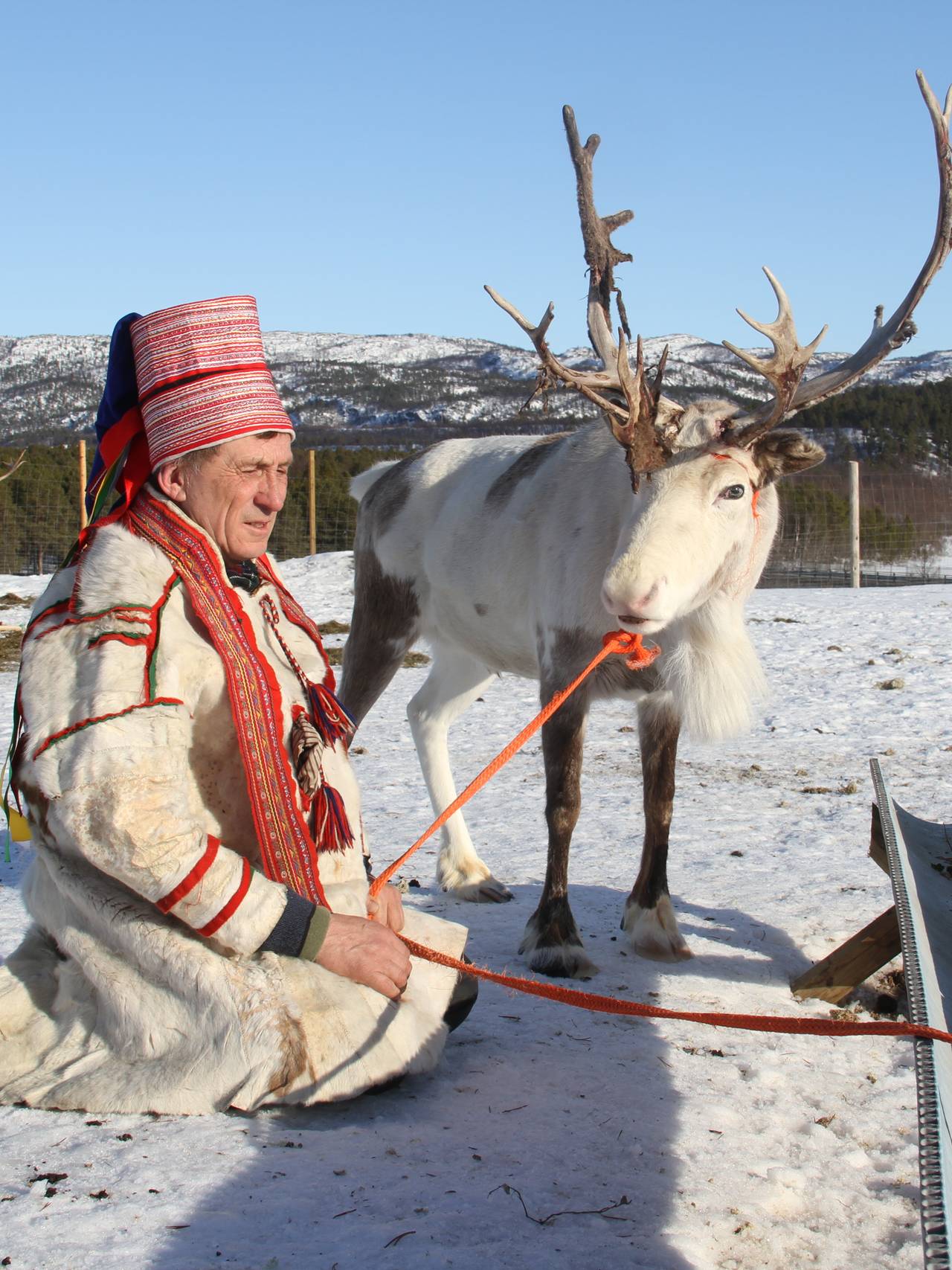 Nils Henrik Sara har alt klappet og klart. Nå mangler bare turistene.