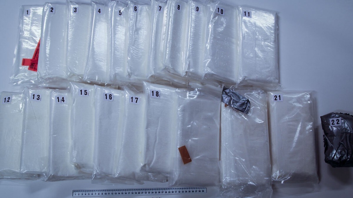 Innrømmer å ha innført til sammen 47 kilo amfetamin til Norge