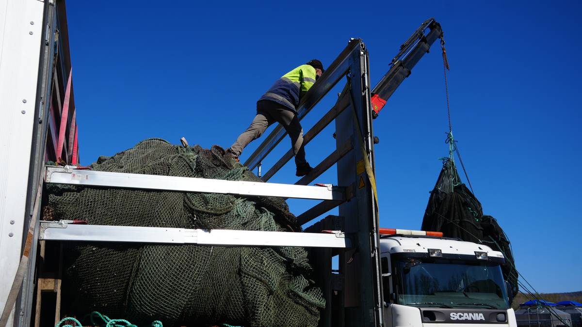Fiskegarn frå Noreg skal berge liv ved frontlinja i Ukraina