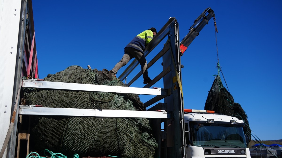 Fiskegarn frå Noreg skal berge liv ved frontlinja i Ukraina