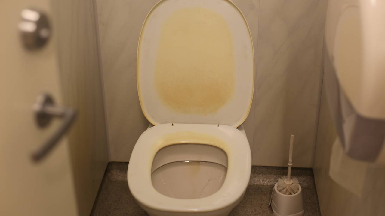 toalett i Haraldshallen