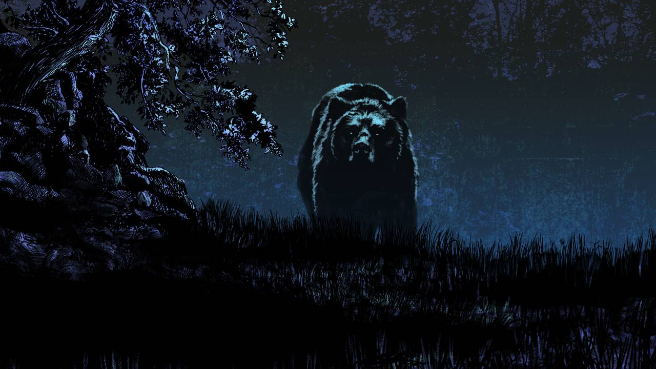 Mannbjørn i skogen på natta