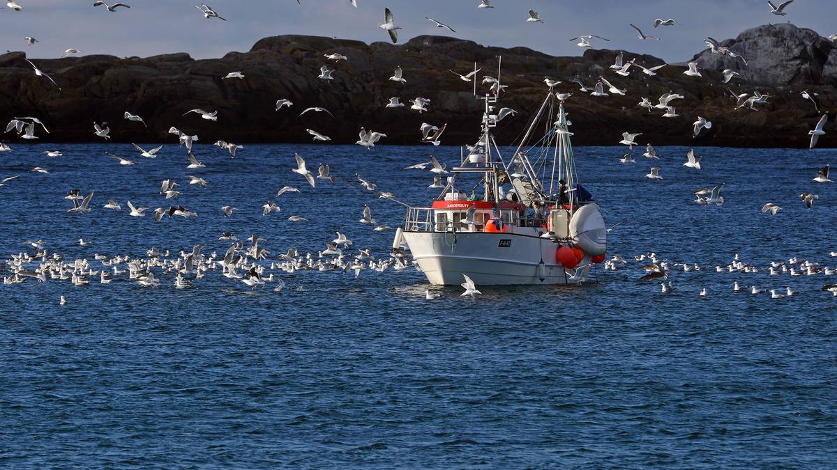 Flere jenter vil fiske