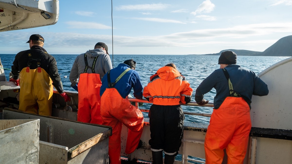 80 ungdommer fra Nordland vil prøve seg som fiskere i sommer