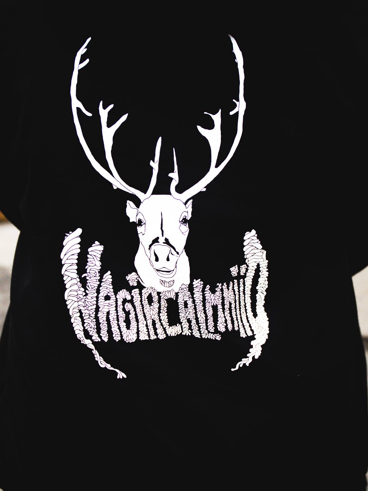 Nagirčalmmiid.