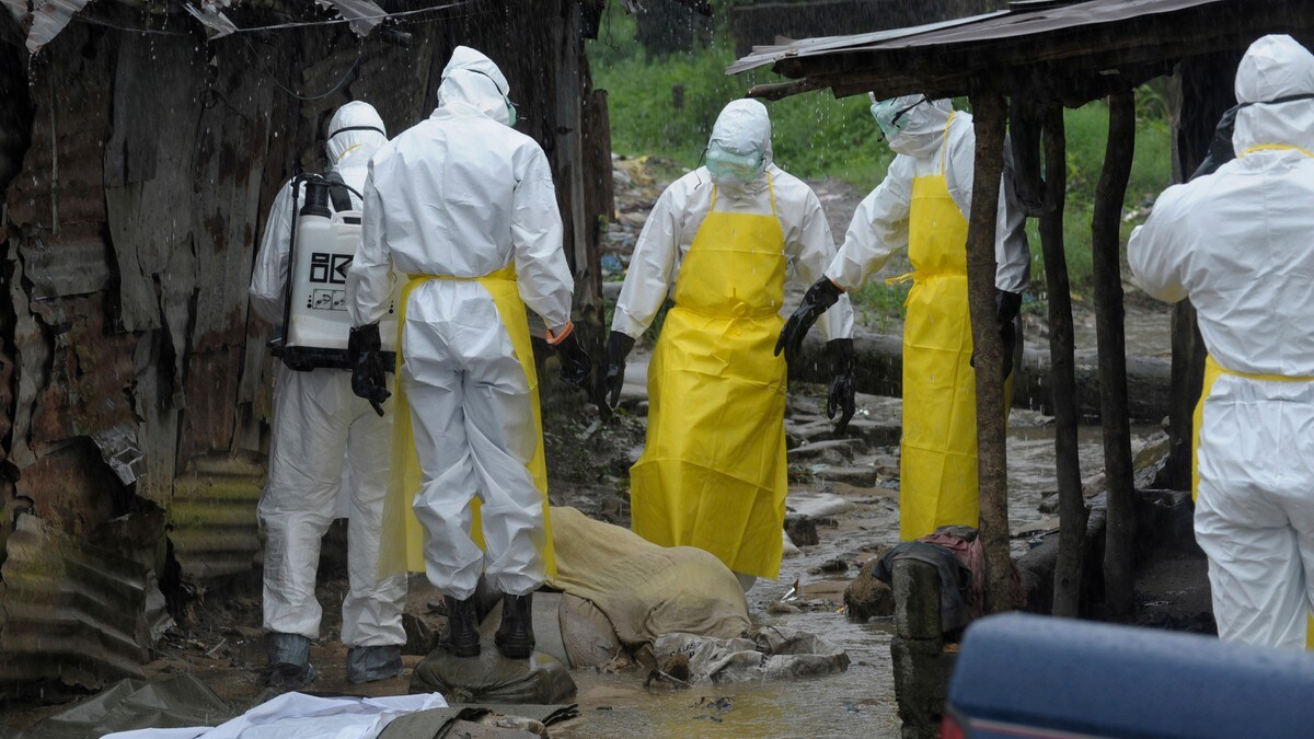 Ebola-epidemien