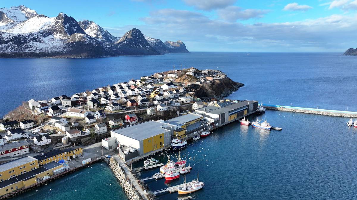 Fiskebedrift må bruke dieselaggregat på ny, grønn fabrikk