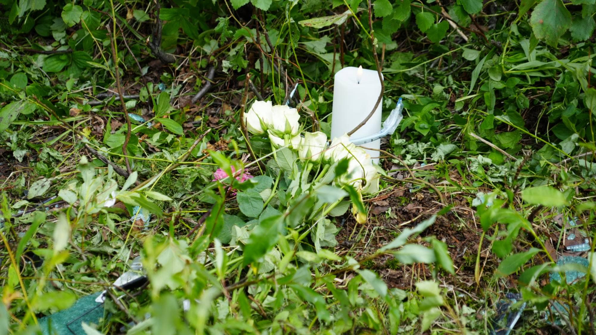 Ett hvit lys i veigrøften, med hvite blomster