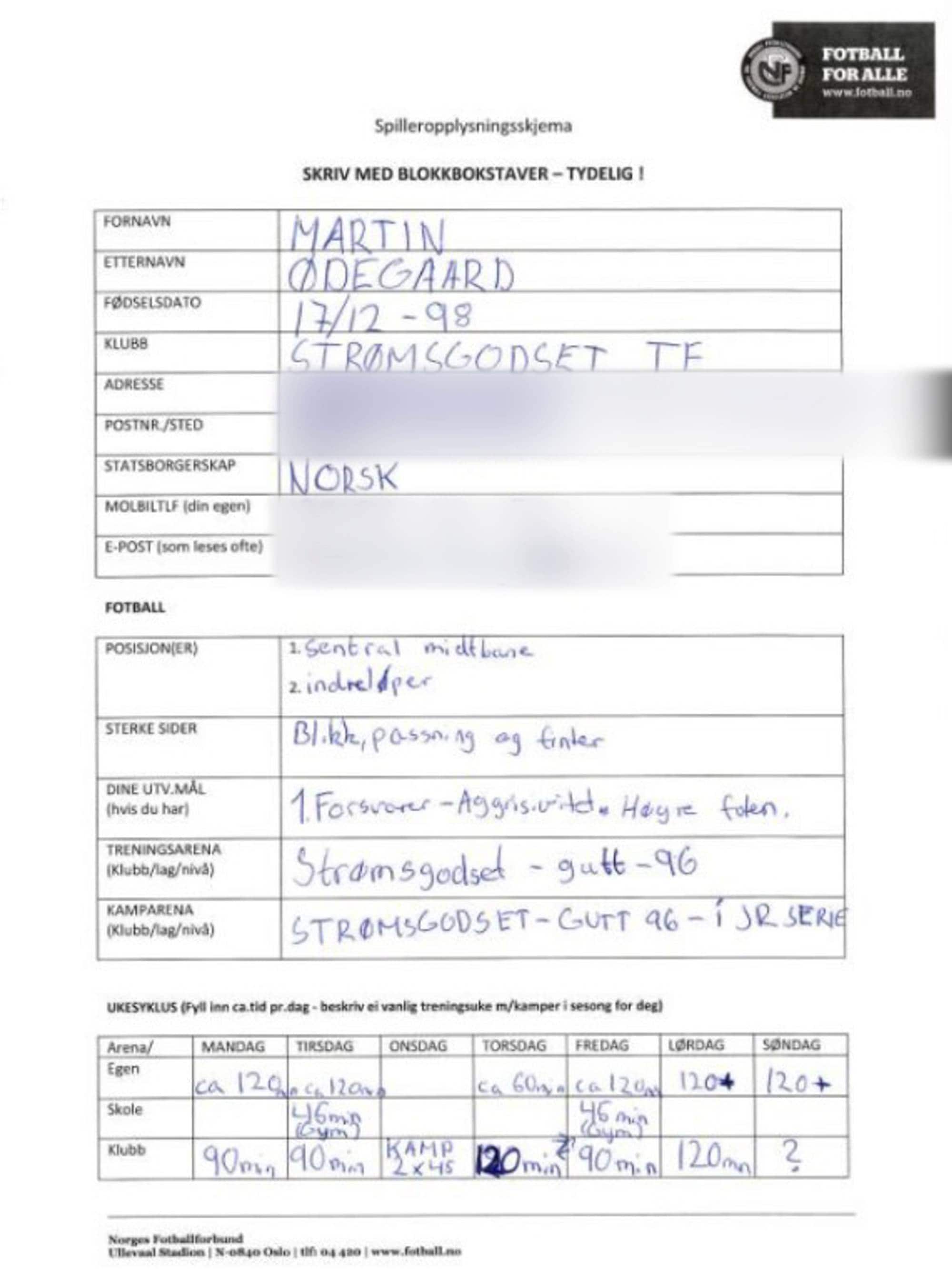 Ødegaards skjema