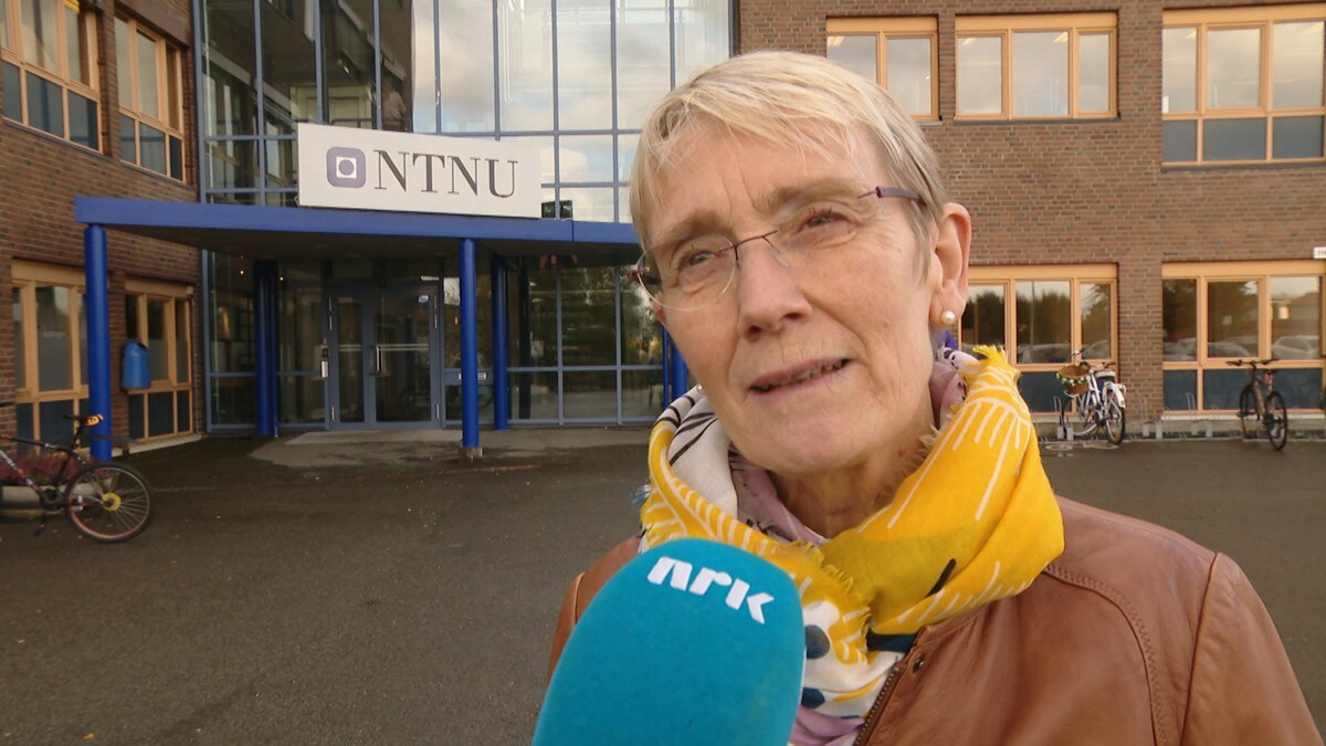 Anne Borg ny NTNU-rektor