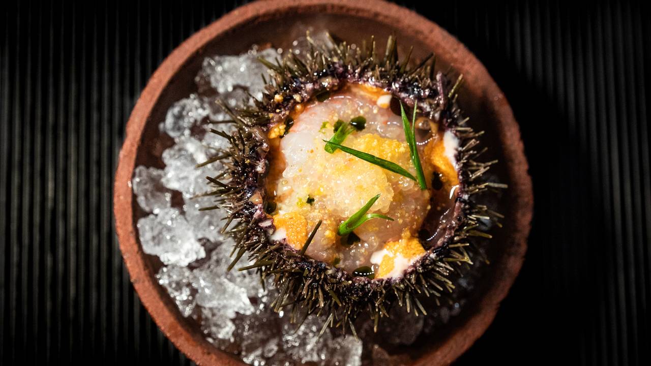 Kråkebollerett fra restaurant Renaa