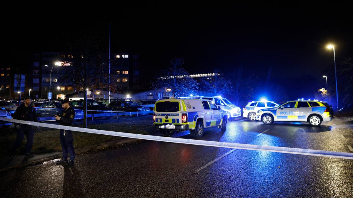 Tenåring skutt og drept i Sverige