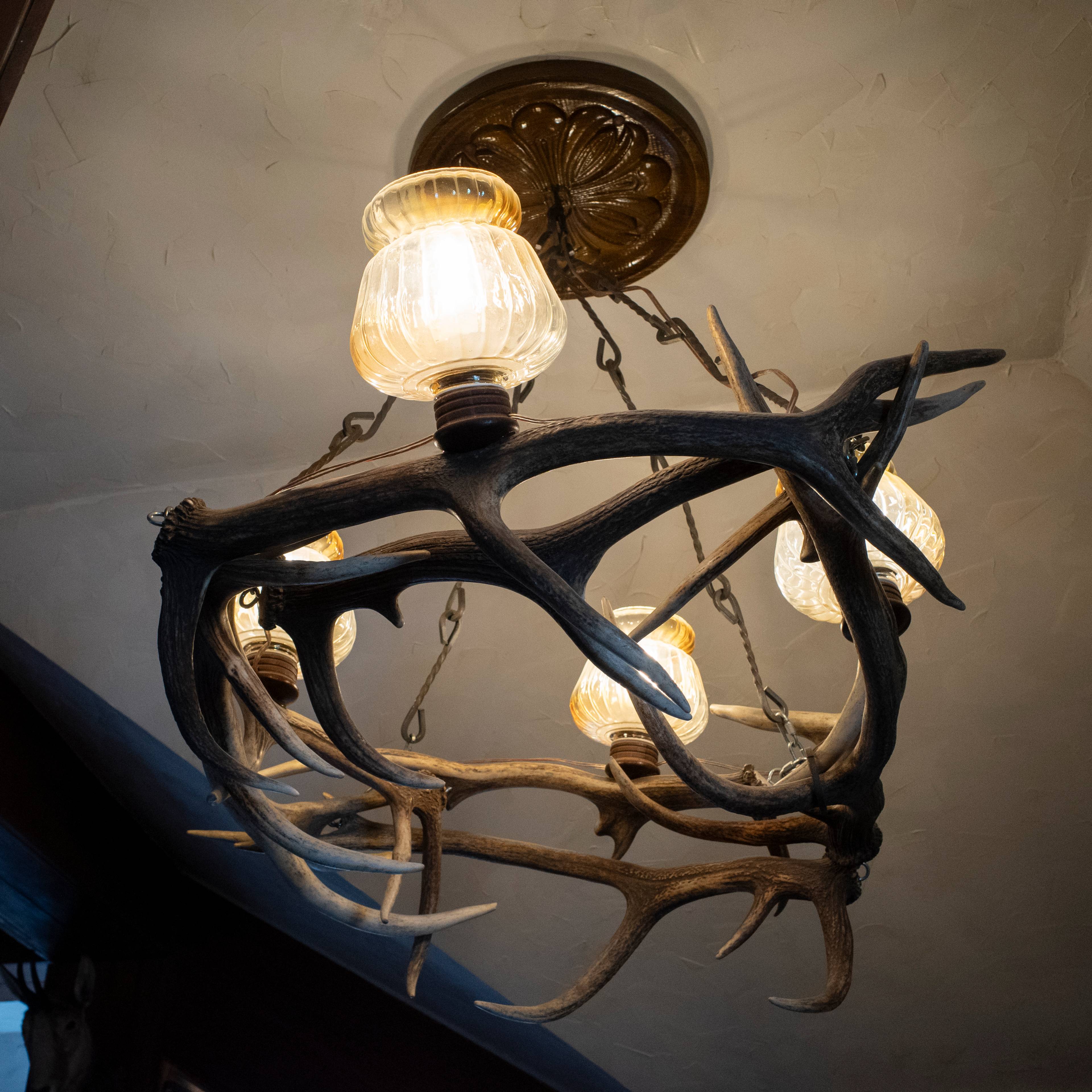 En lampe som er laget av gevirer fra drepte dyr