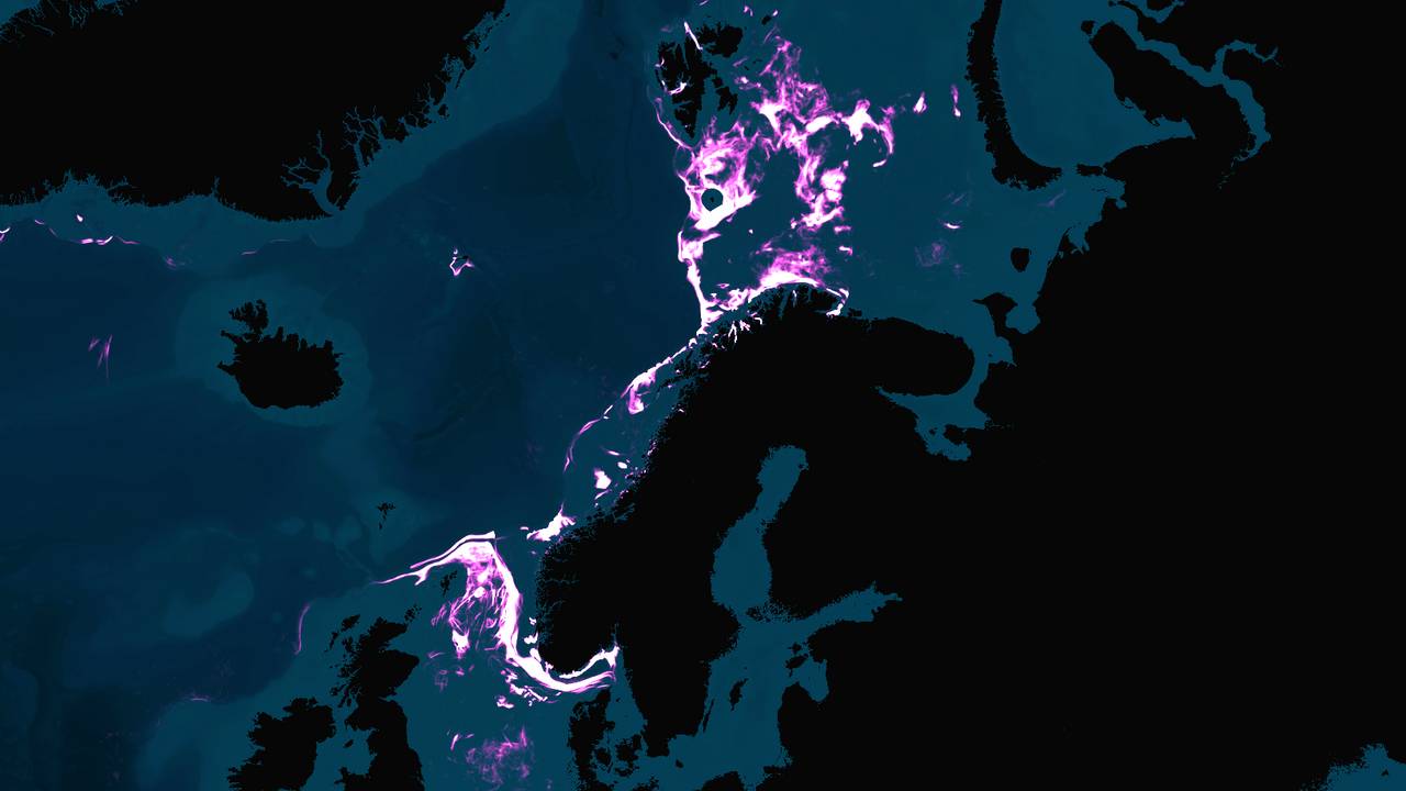 Kartet viser områder der bunntråling har blitt gjennomført i årene 2011 til 2019.