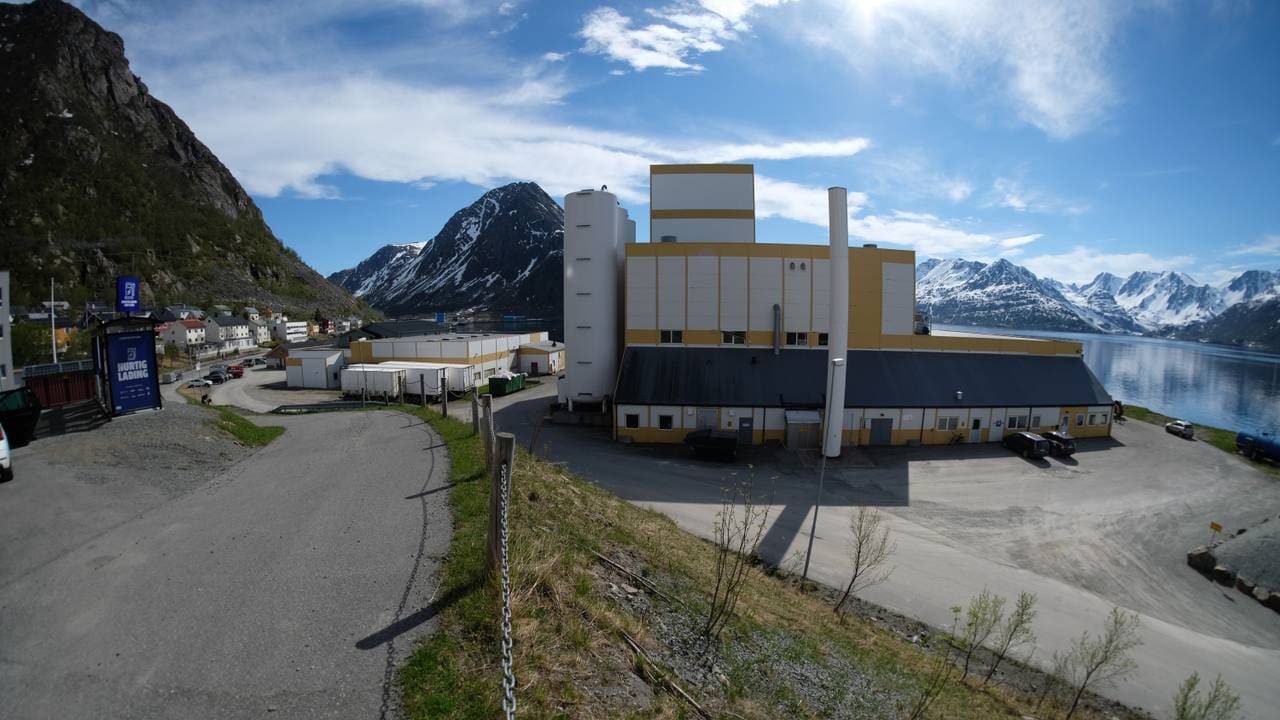 Polarfeed i Øksfjord