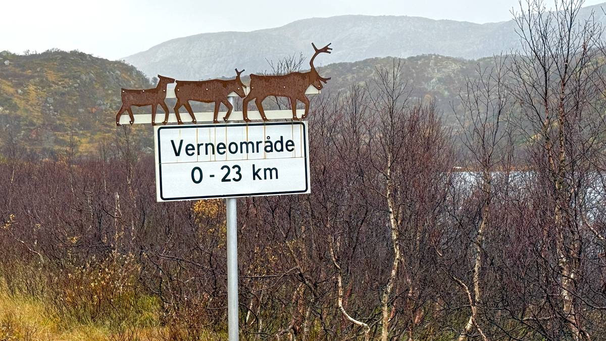 Vinterstenger Brokke-Suleskard