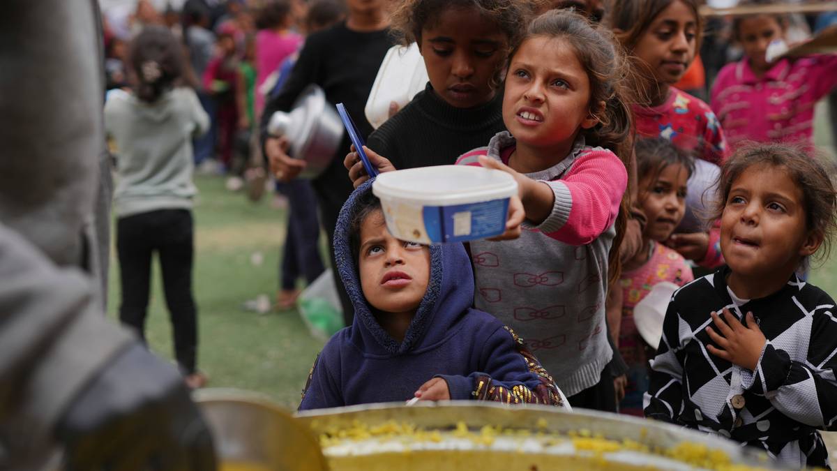 Norge hardt ut mot Israel i ICJ: – Et levende mareritt