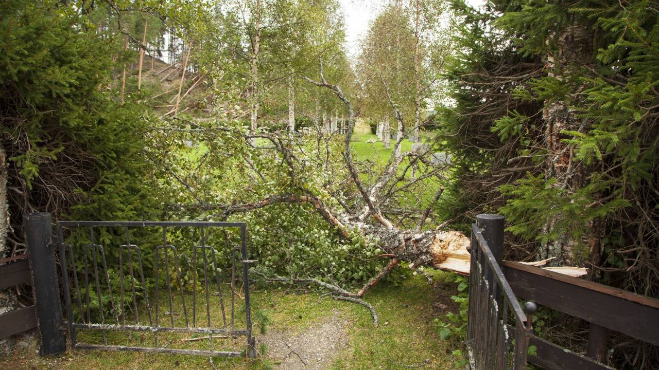 Strømbrudd i Nord-Østerdal.