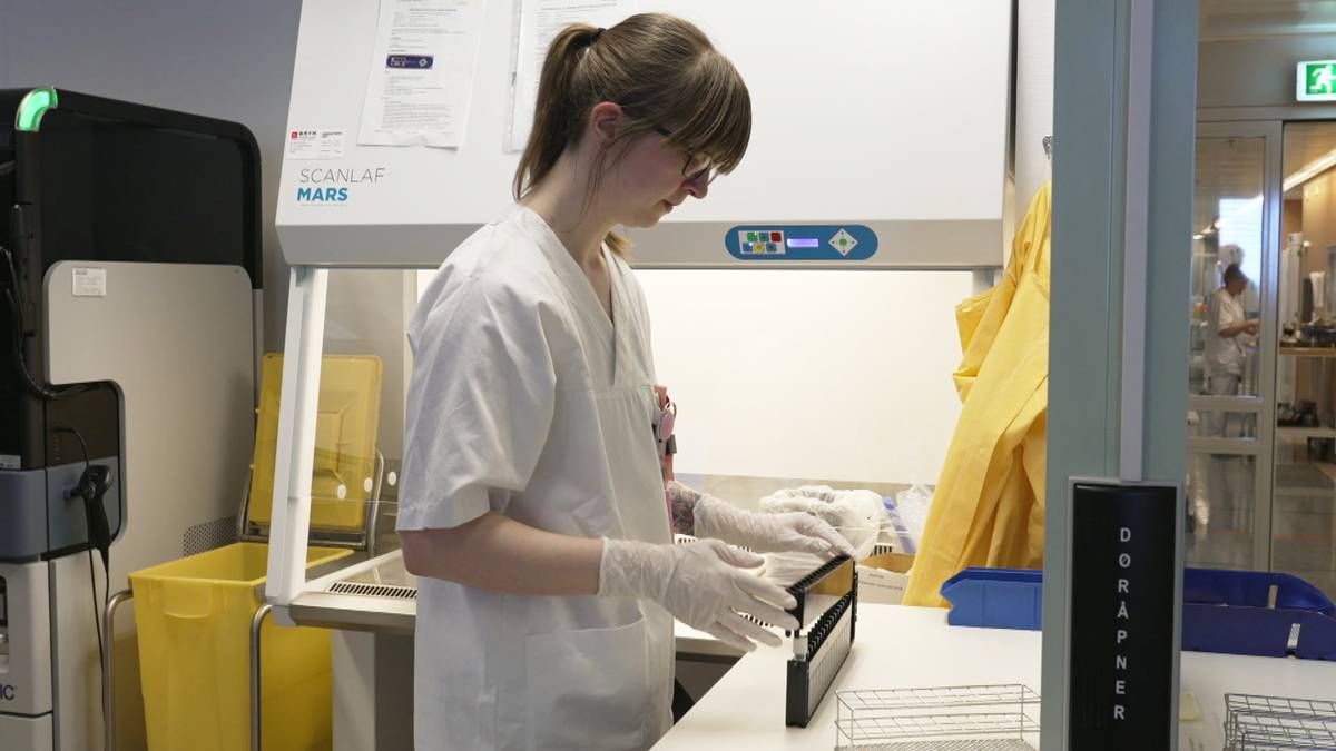 Flåttbitt: Nå kan ny test avsløre TBE før du blir alvorlig syk.