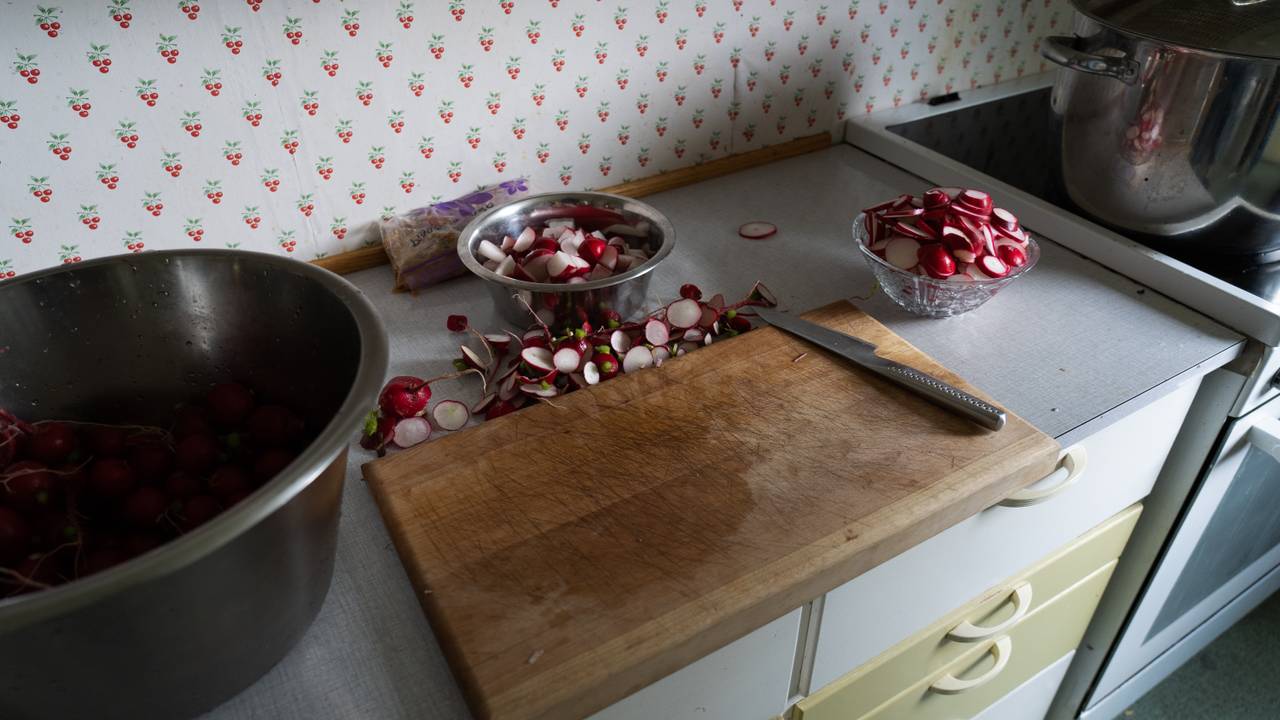 Fermentering av reddikar på gang.