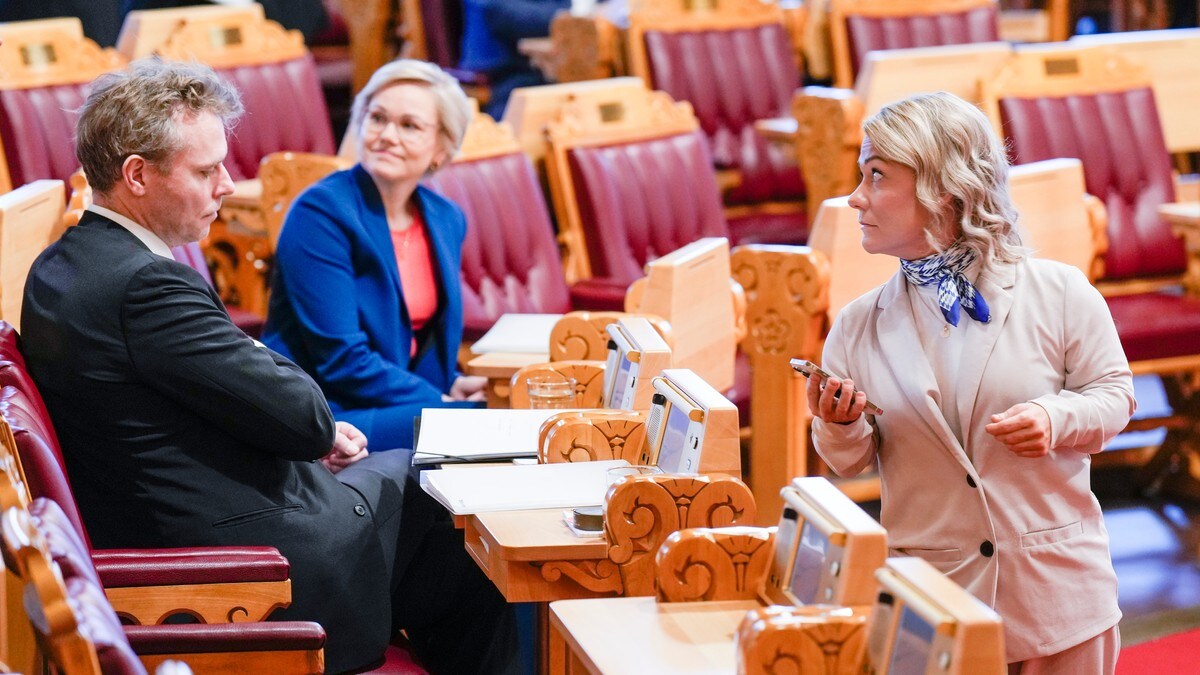 Ble ikke tatt for plagiat: Slik kunne det skje