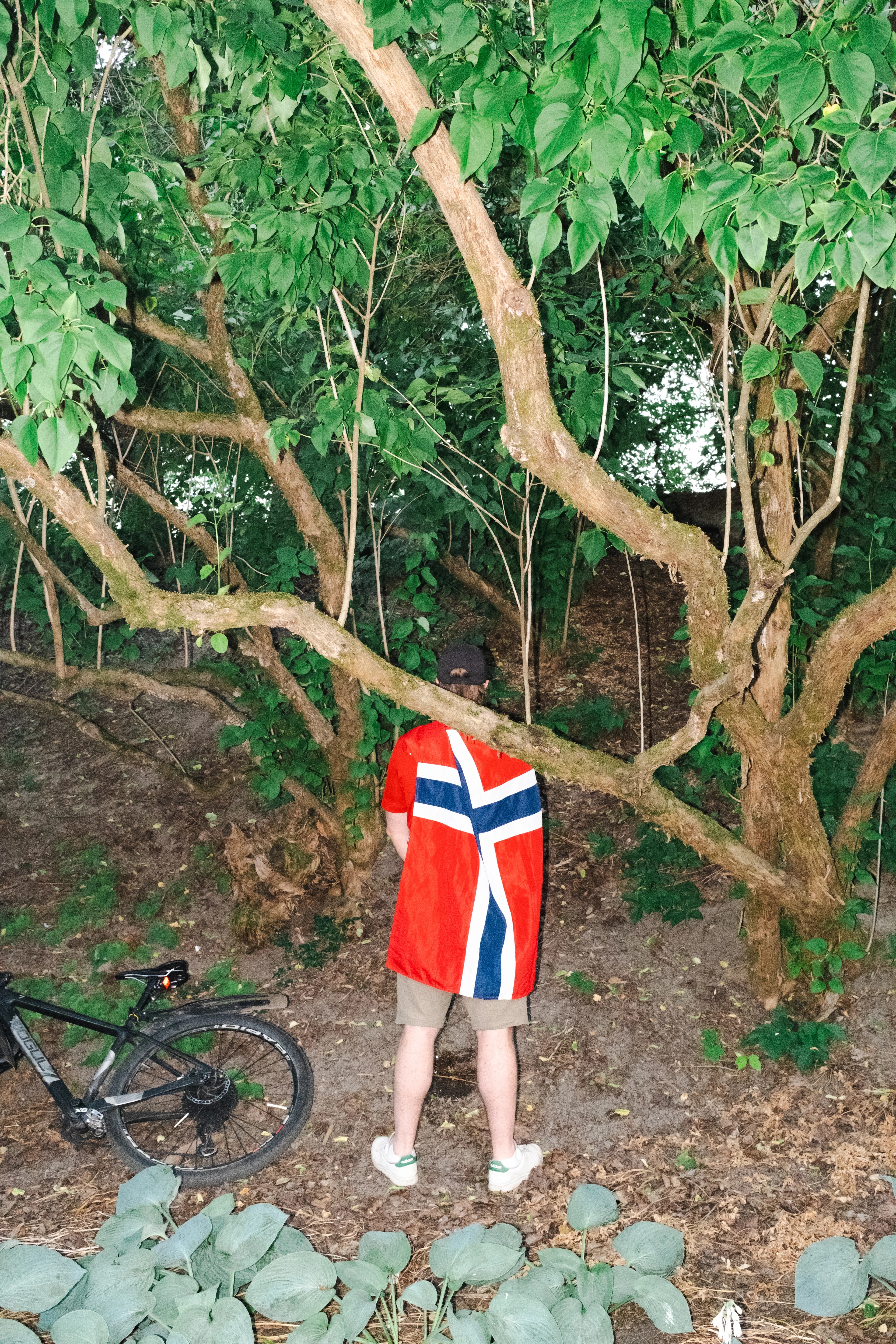 Person med et norsk flagg som kappe står foran et tre i skogen med en sykkel ved siden av seg.