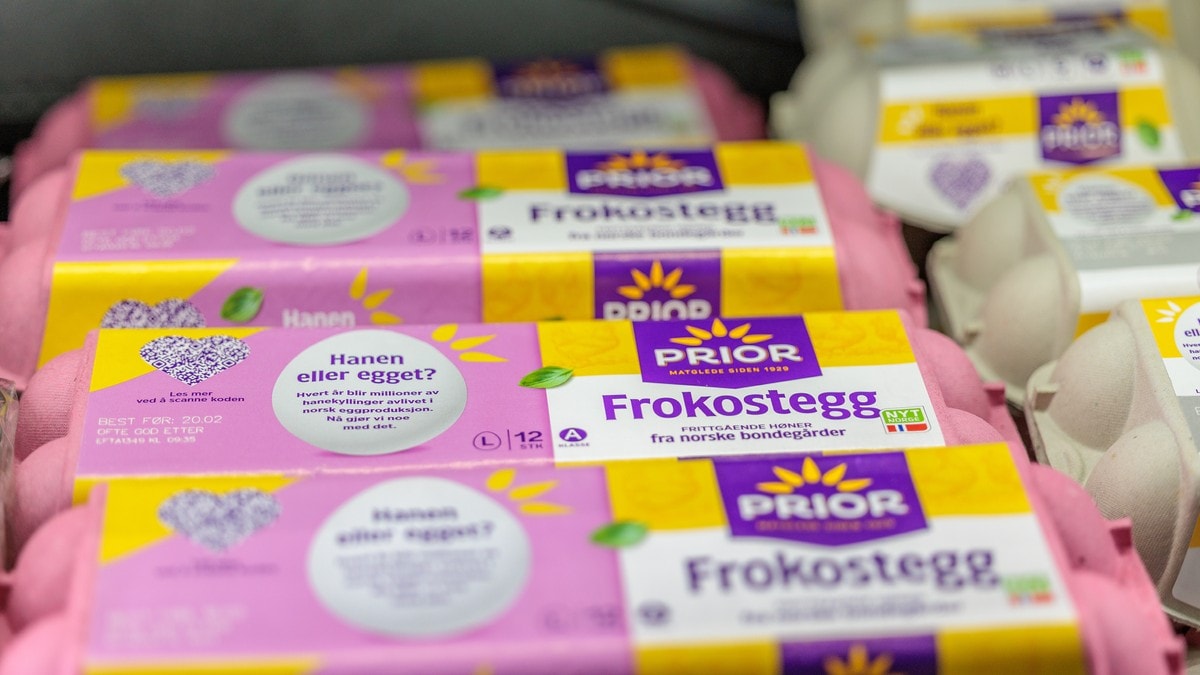 Egg-skandalen: Kan ha fått 100 gongar for mykje D-vitamin 