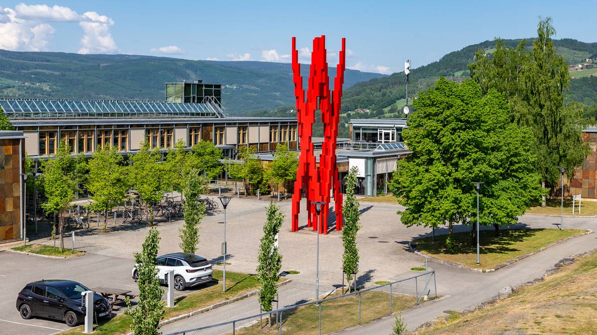 Høgskolen i Innlandet blir universitet: – En stor anerkjennelse