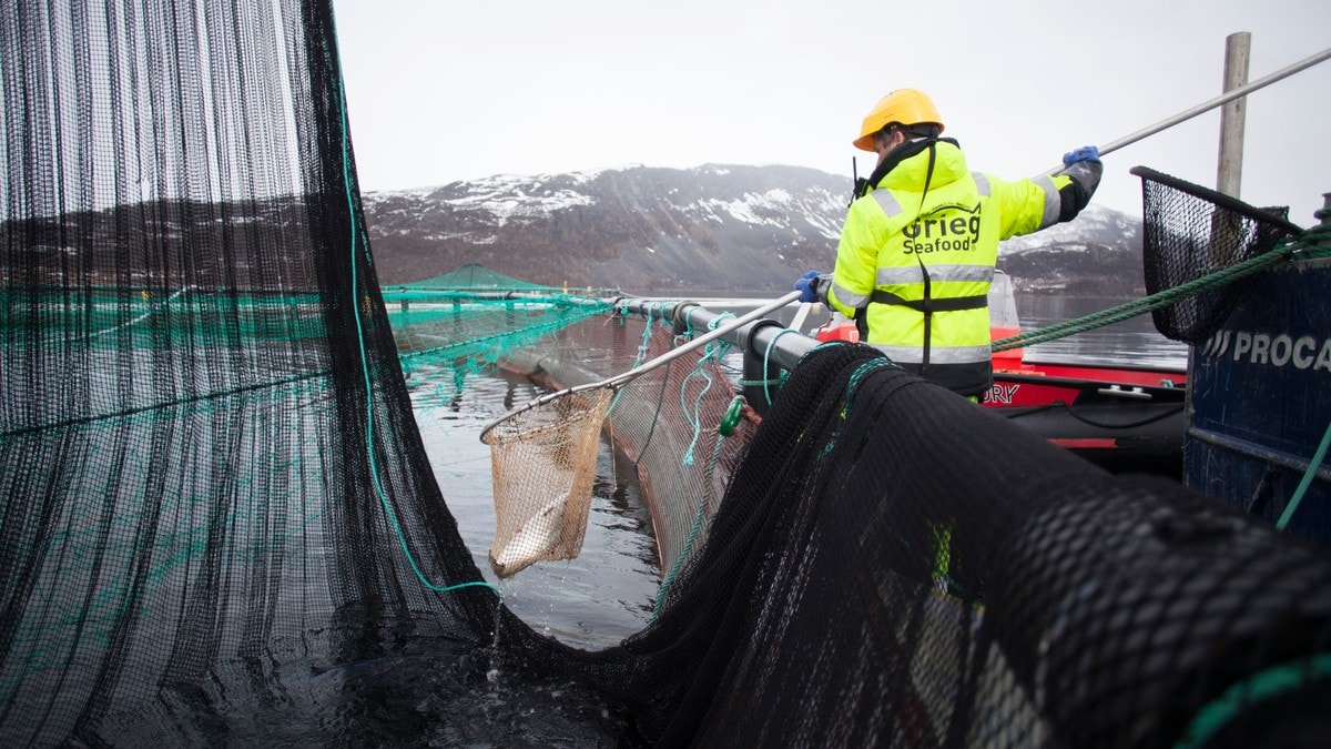 Ingen endring i lakseskatten