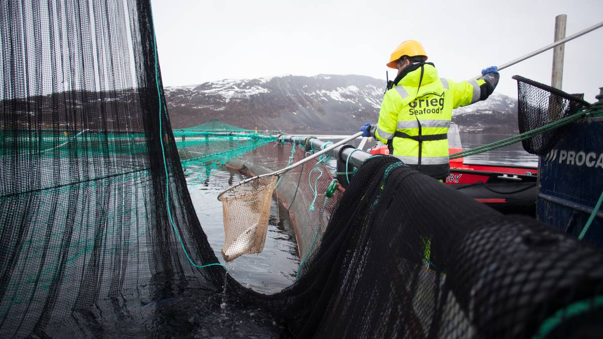 Utskjelt prisråd skrotes: – Har lyttet til næringslivet langs kysten