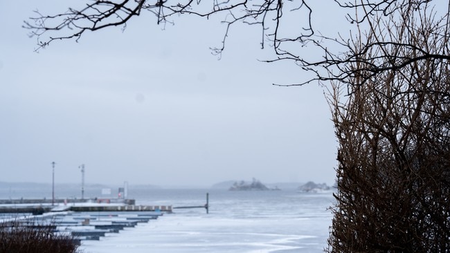 Utsikt over en islagt havn med båtplasser og små øyer i horisonten. Trær med bare grener rammer inn bildet, mens himmelen er grå og overskyet. Det er stille, med snø dekker bakken langs havnebassenget. Lysmaster og annet utstyr er synlig i bakgrunnen. (Bildebeskrivelsen er laget av en KI-tjeneste)