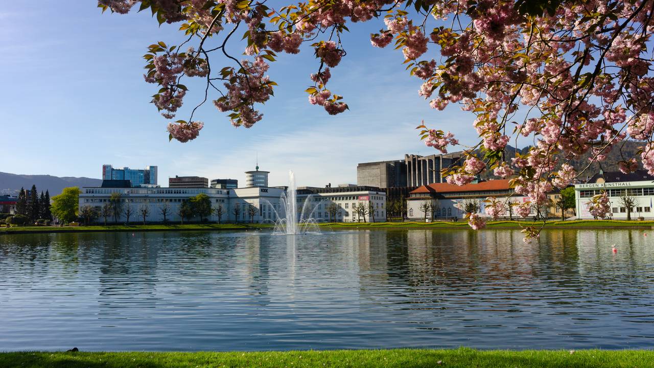 Oversikt over noen av bygningene til KODE, kunstmuseene i Bergen.