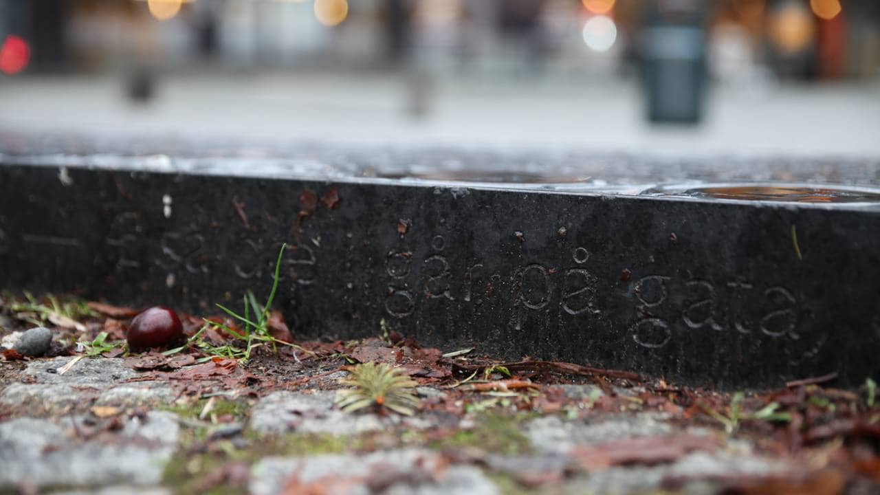 Æ så dæ i går på gata, sitat fra Sommerfuggel i vinterland